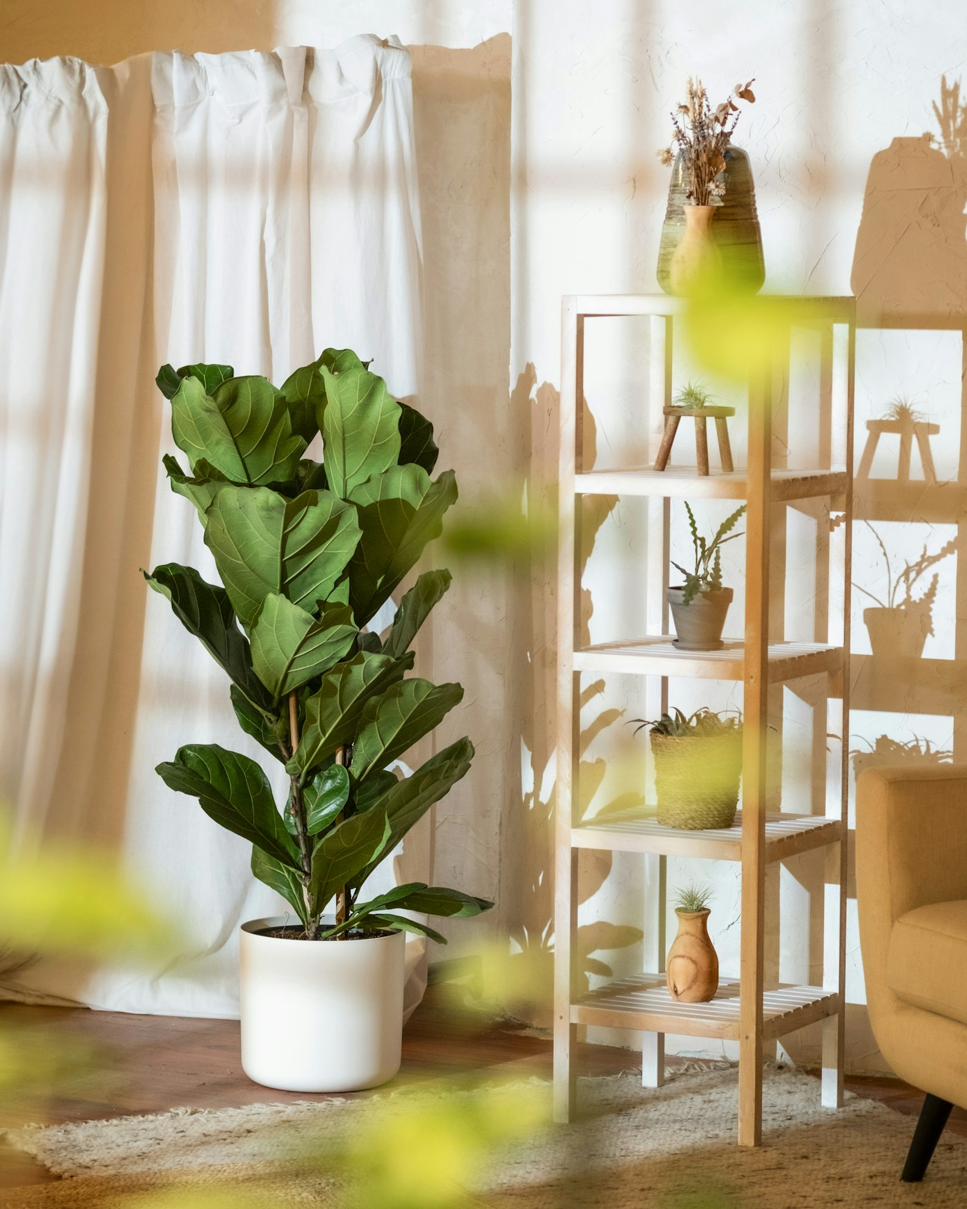 Fauteuil, plantes et lumière naturelle dans un espace d’accueil